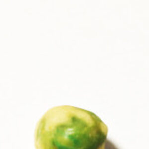 Wasabi Pea