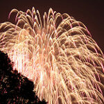 The family is expecting to see at least 60 per cent of the fireworks display