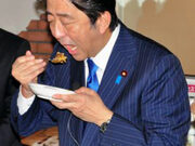 Japanese Speaking Ambassadors Dining With PM Abe Offered Forks