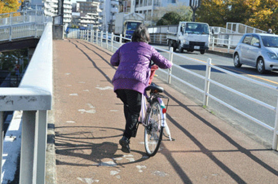 Mind blowing bicycle journey begins on one leg