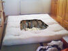 Giant Sinkhole Opens Up In Center Of Futon