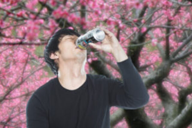 Drunk under plum blossom