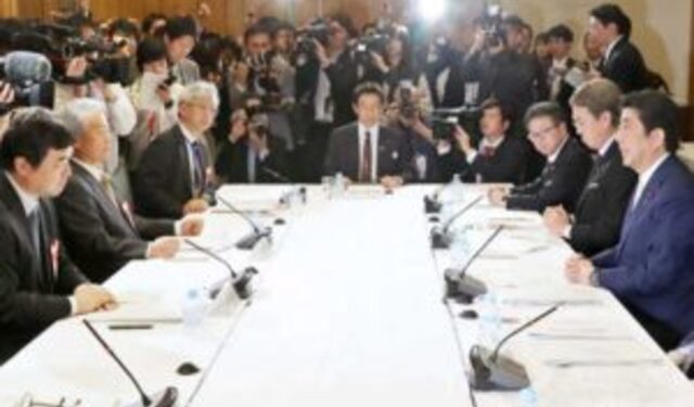 government panel japan