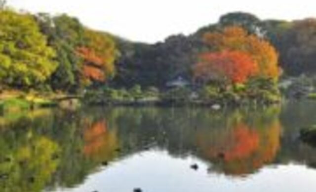 Aki japan