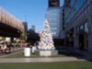 クリスマスツリー、都内で既に発見される