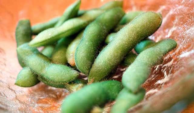 edamame bean