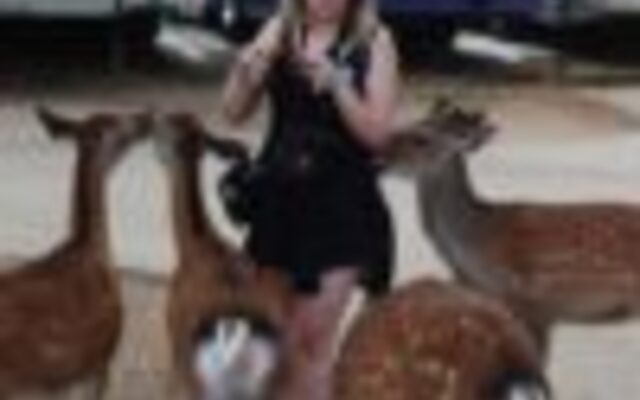 racist deer